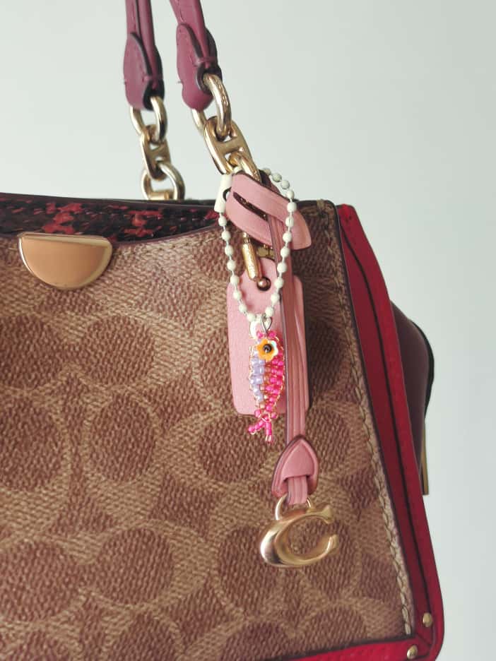 Sardine Keychain Blind Box